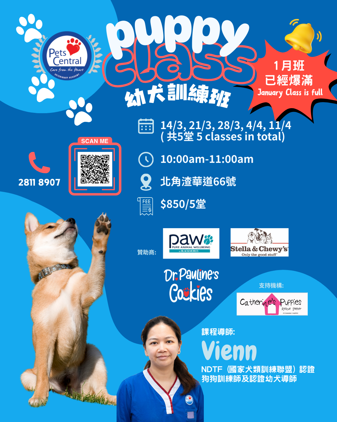 Pets Central Facebook ad