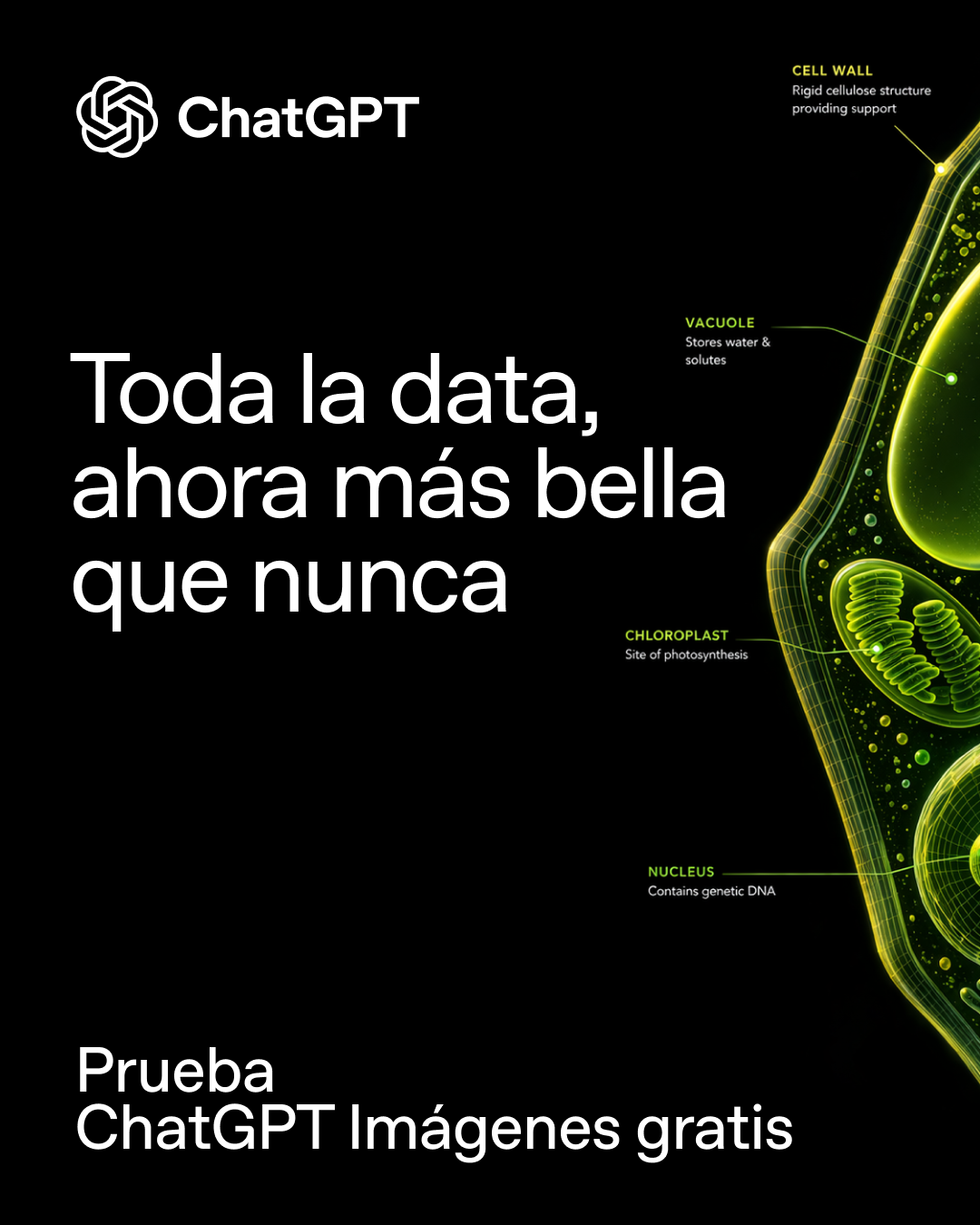 ChatGPT Facebook ad