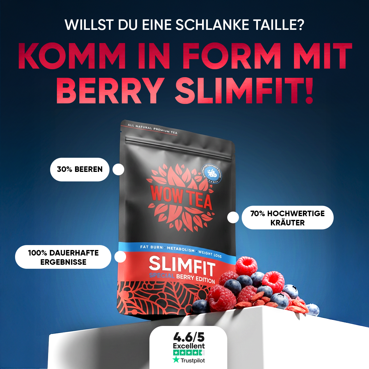 The Biofit Blog Facebook ad