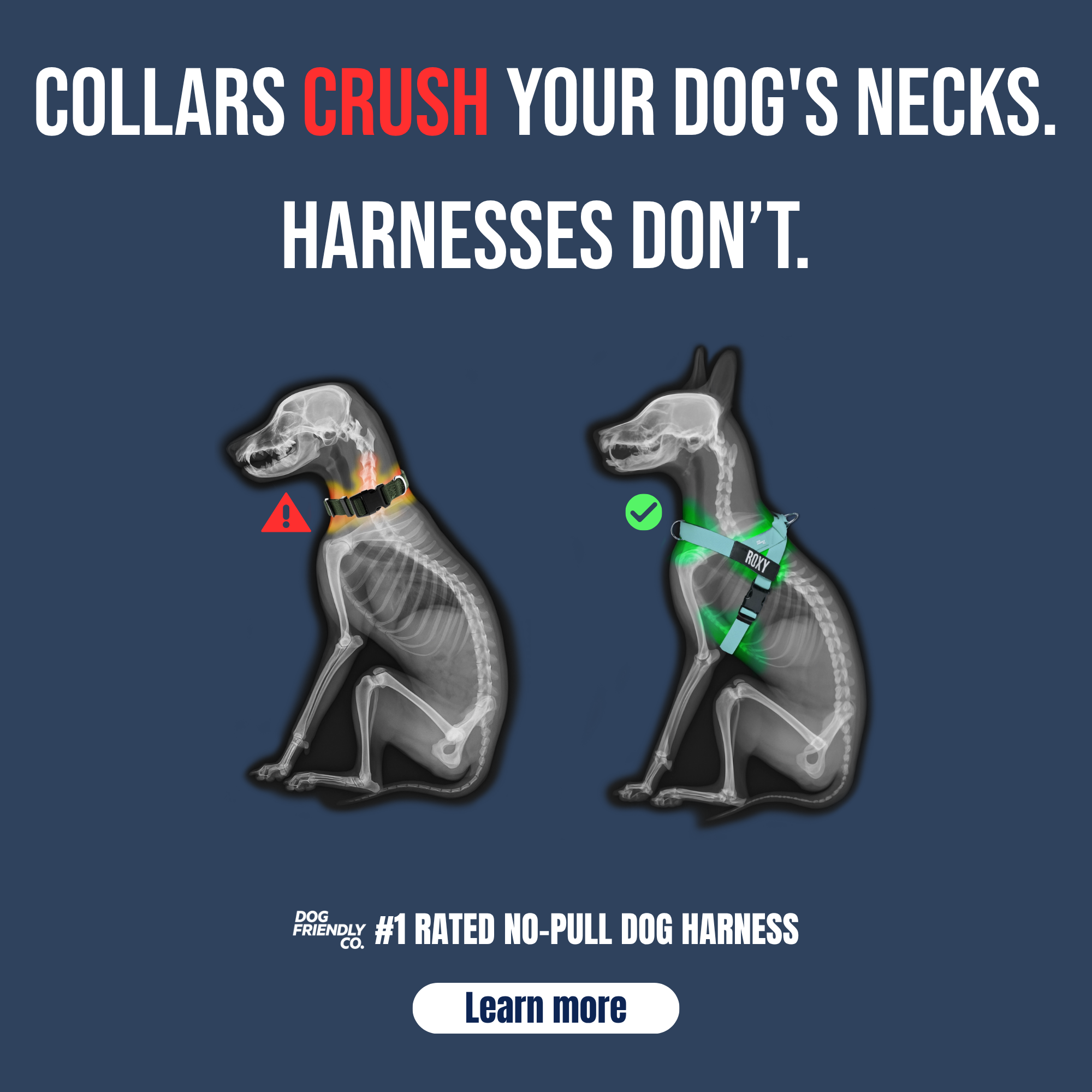 Dog Friendly Co. Facebook ad