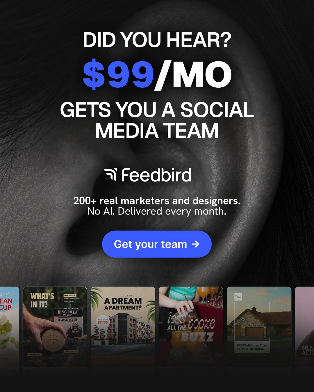 Feedbird Facebook ad: Social media, handled - $99/mo