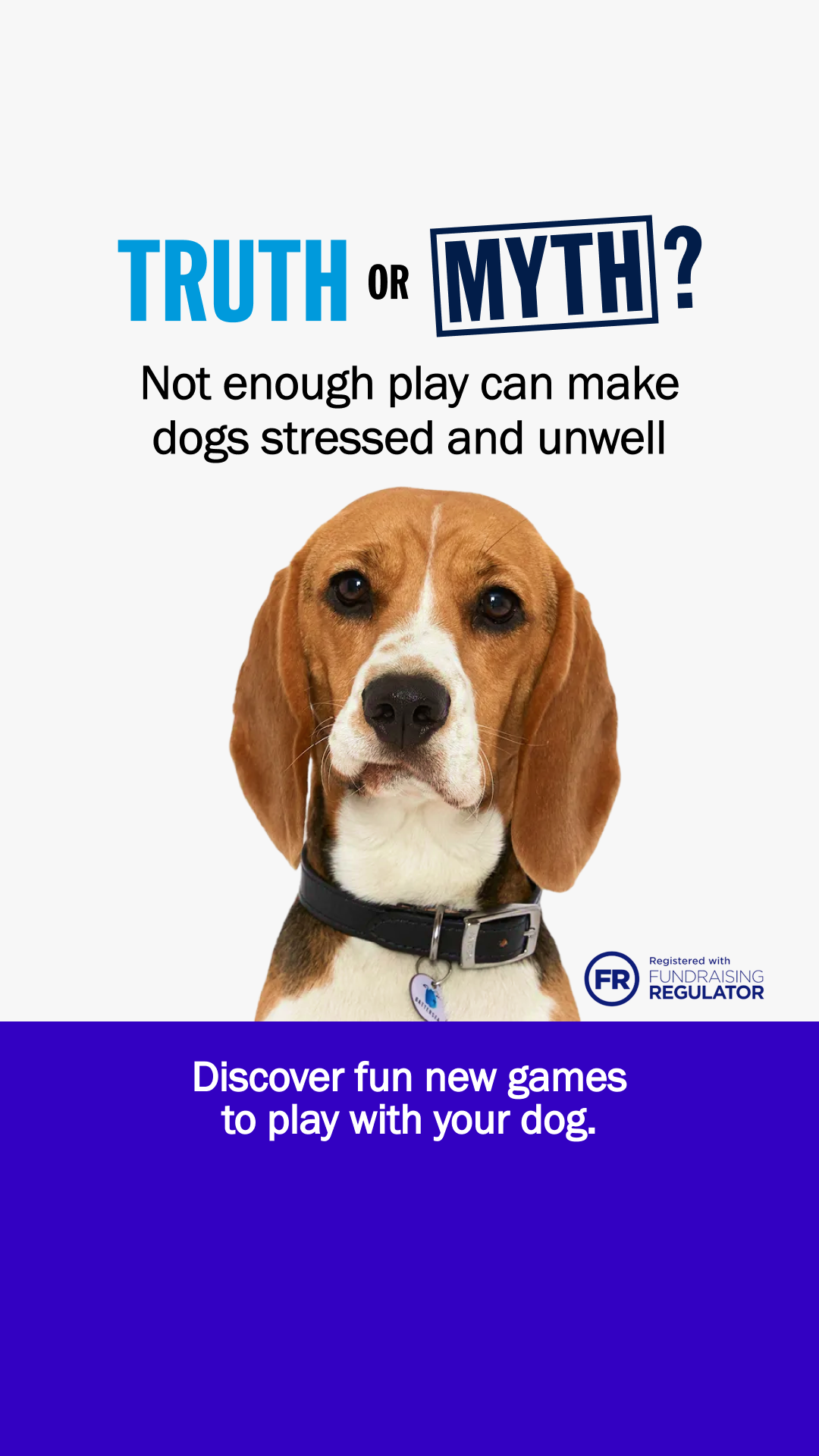 Battersea Facebook ad