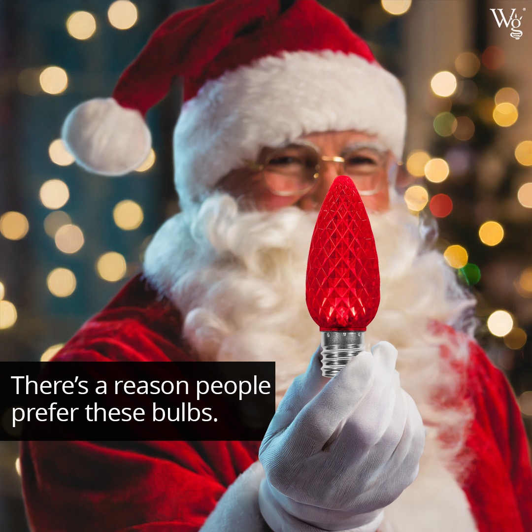 Christmas-Lights-Etc Facebook ad