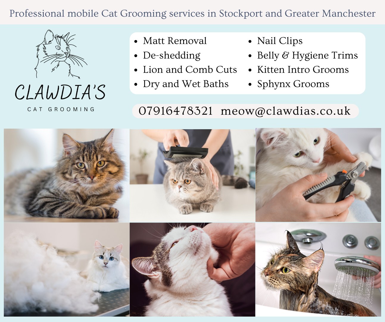 Clawdia's Cat Grooming Facebook ad