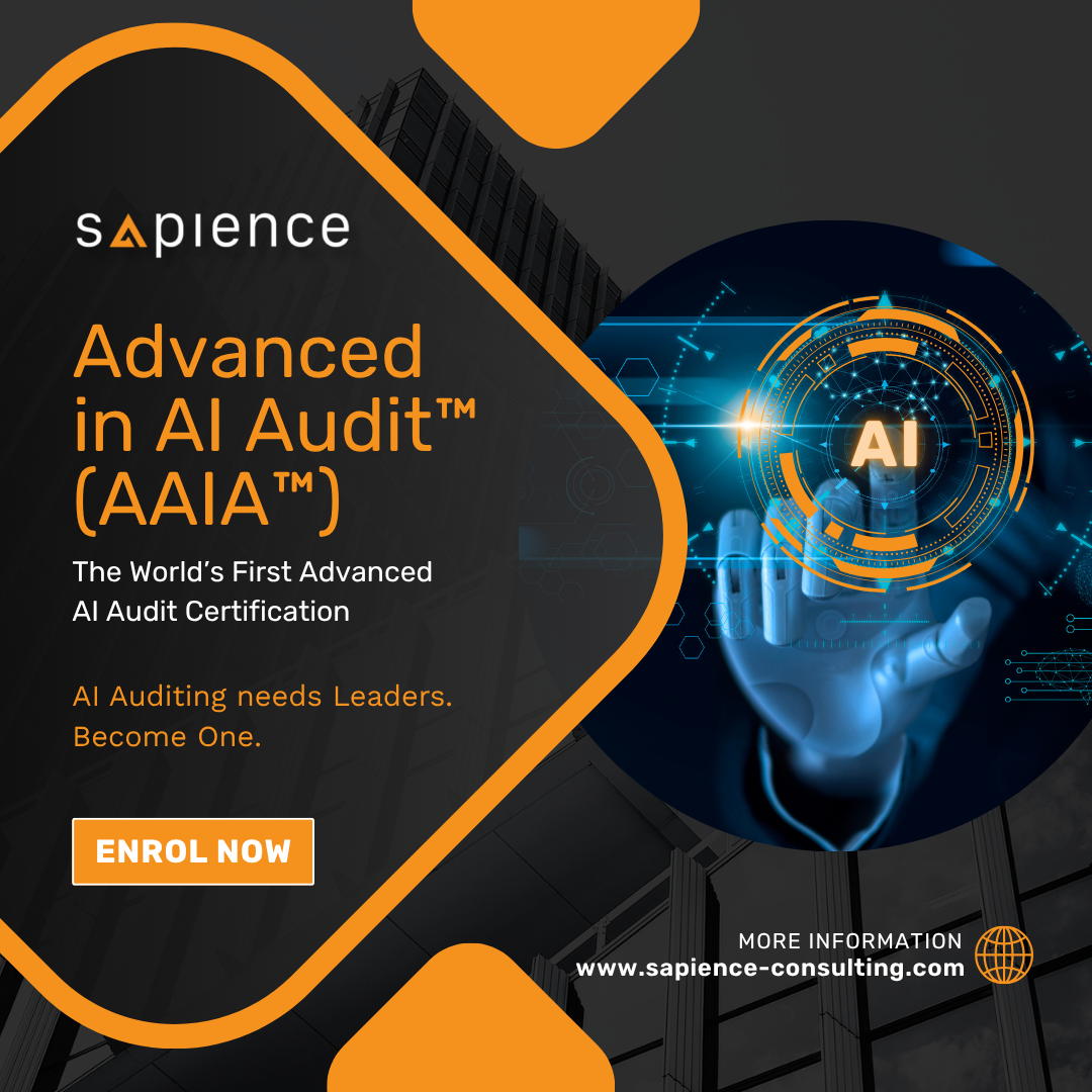 Sapience Consulting Facebook ad