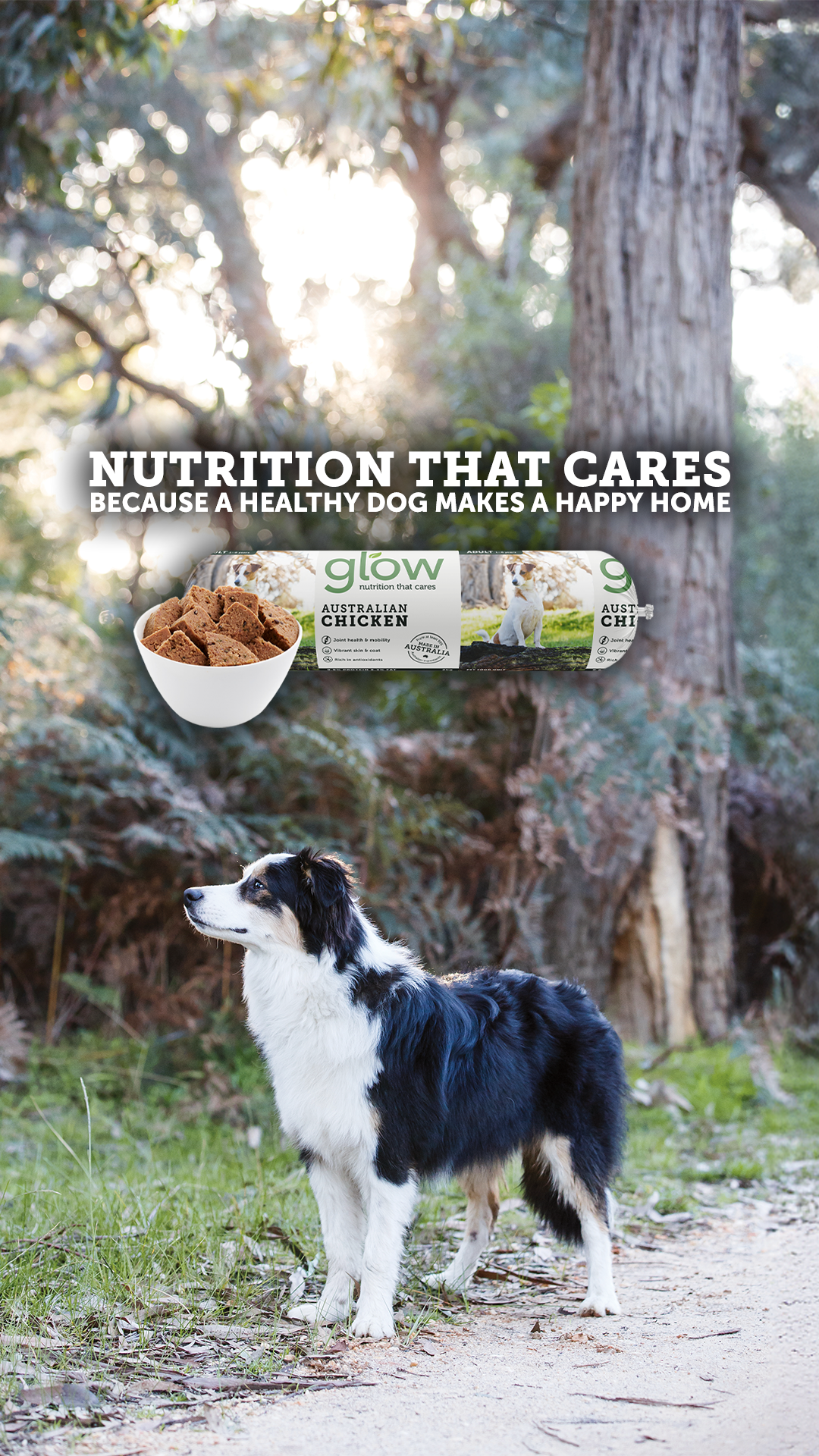 Glow Pet Food Facebook ad from Aug 14, 2026