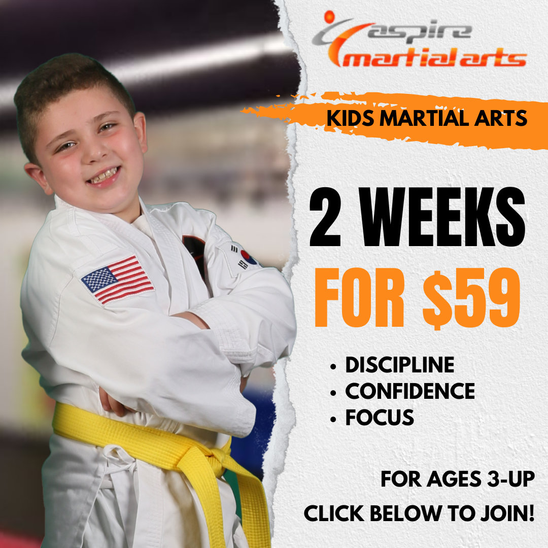 Aspire Martial Arts Facebook ad: Kids Martial Arts Trial!