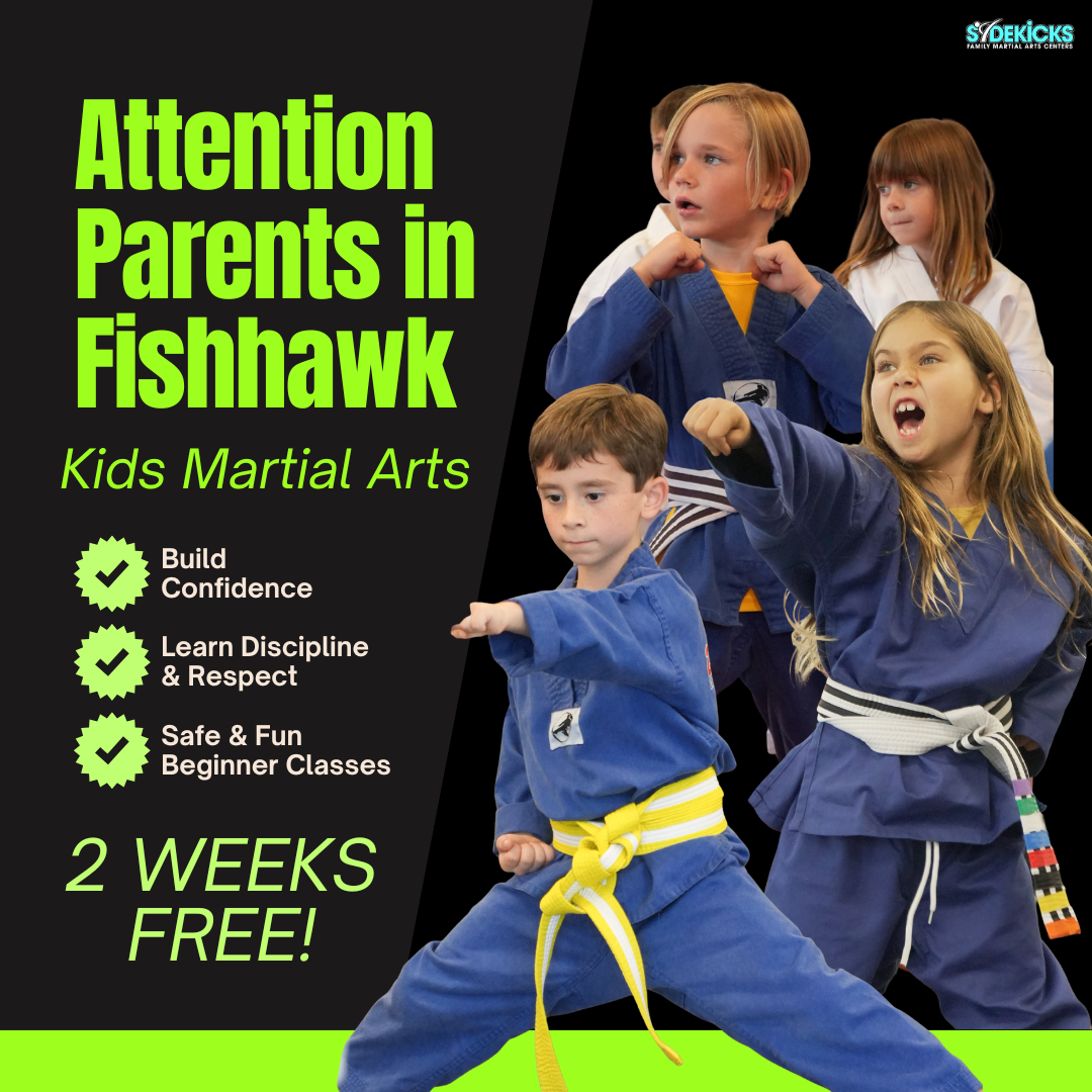 Sidekicks Family Martial Arts Center Facebook ad