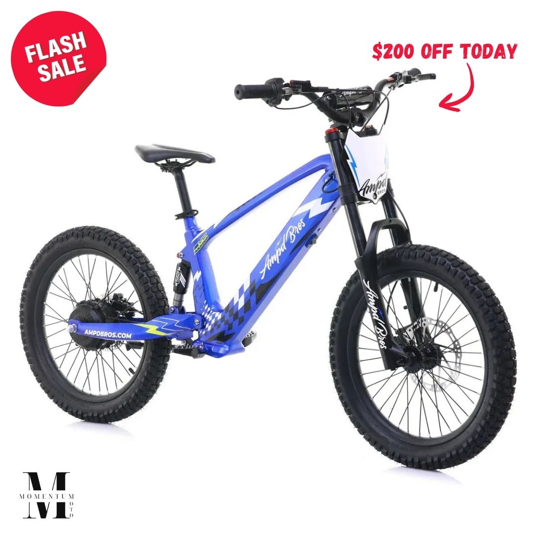 Momentum Moto Facebook ad