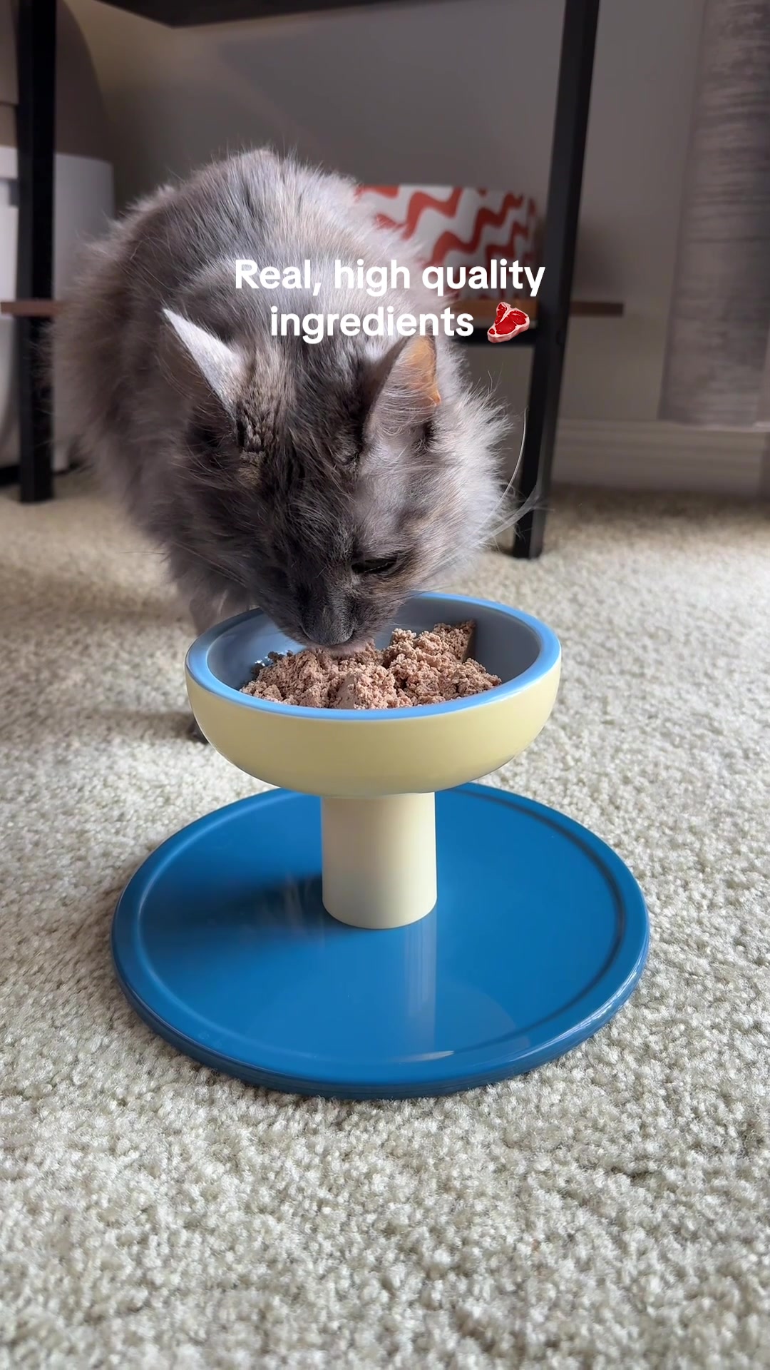Smalls Facebook ad: Human-Grade Fresh Cat Food