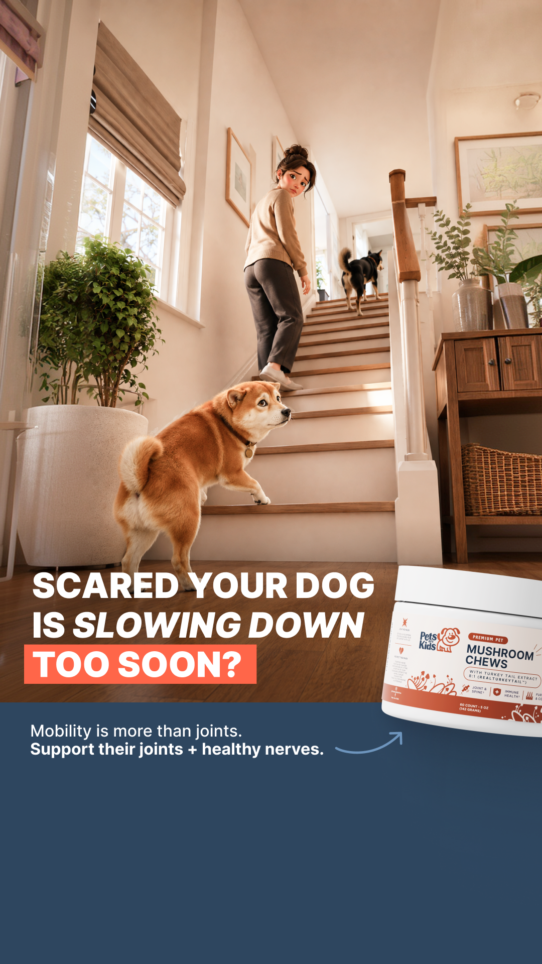 Pets Are Kids Facebook ad