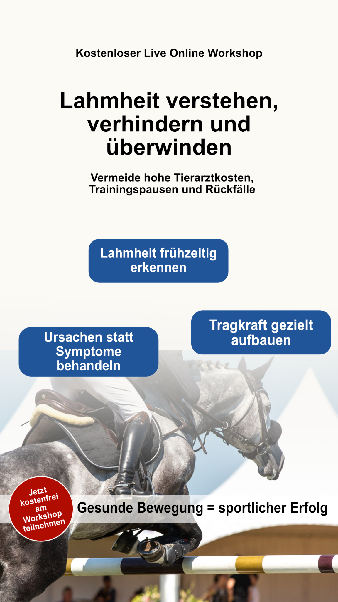 Pferdesporttherapeutin Karin Link Facebook ad