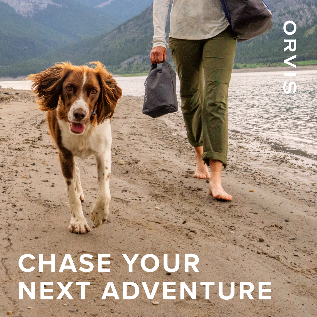 Orvis Facebook ad: Gear up for summer fun with your pup
