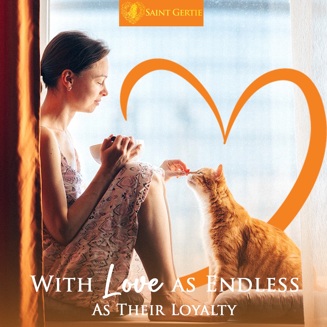 Saint Gertie Premium Cat Shampoo Facebook ad