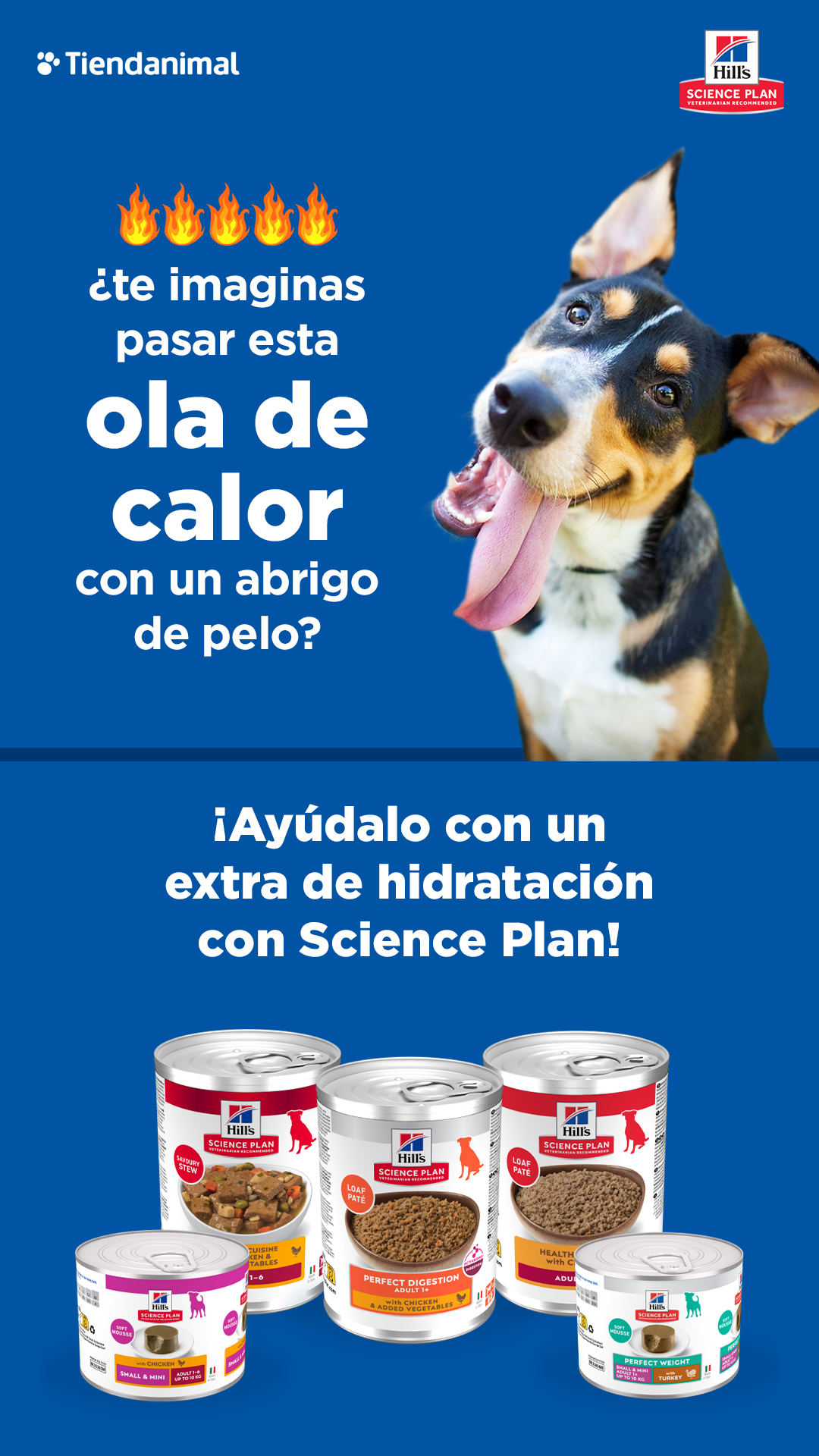 Tiendanimal Facebook ad