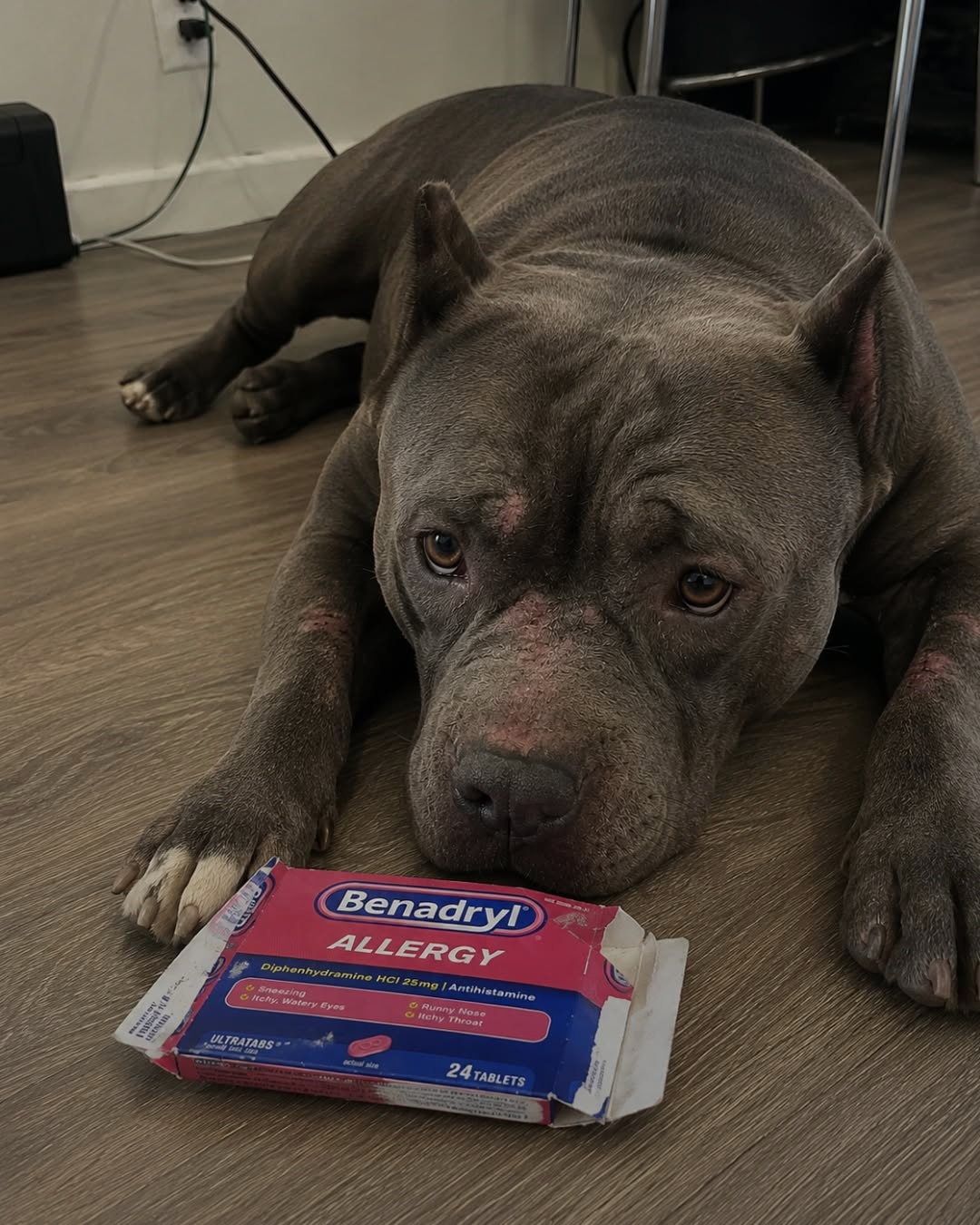 Julie Lyons Facebook ad: Read This Before Your Next Vet Bill