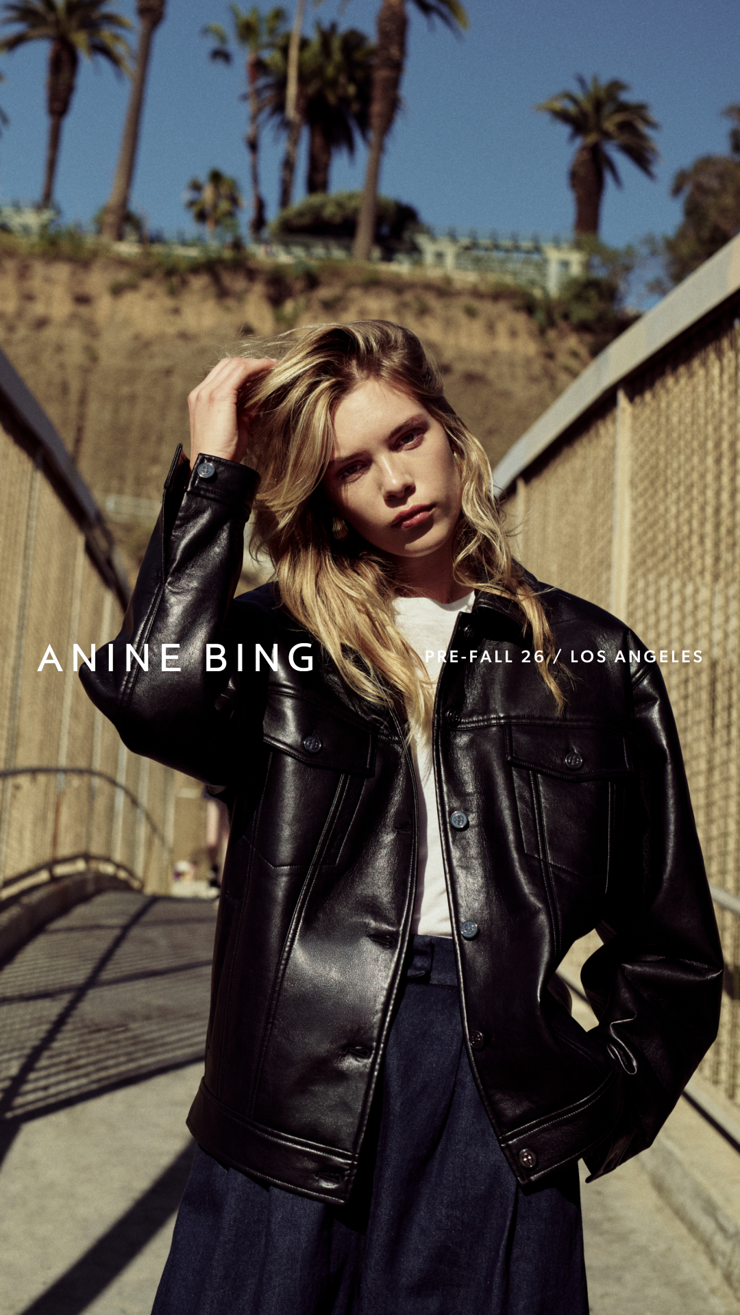 ANINE BING Facebook ad