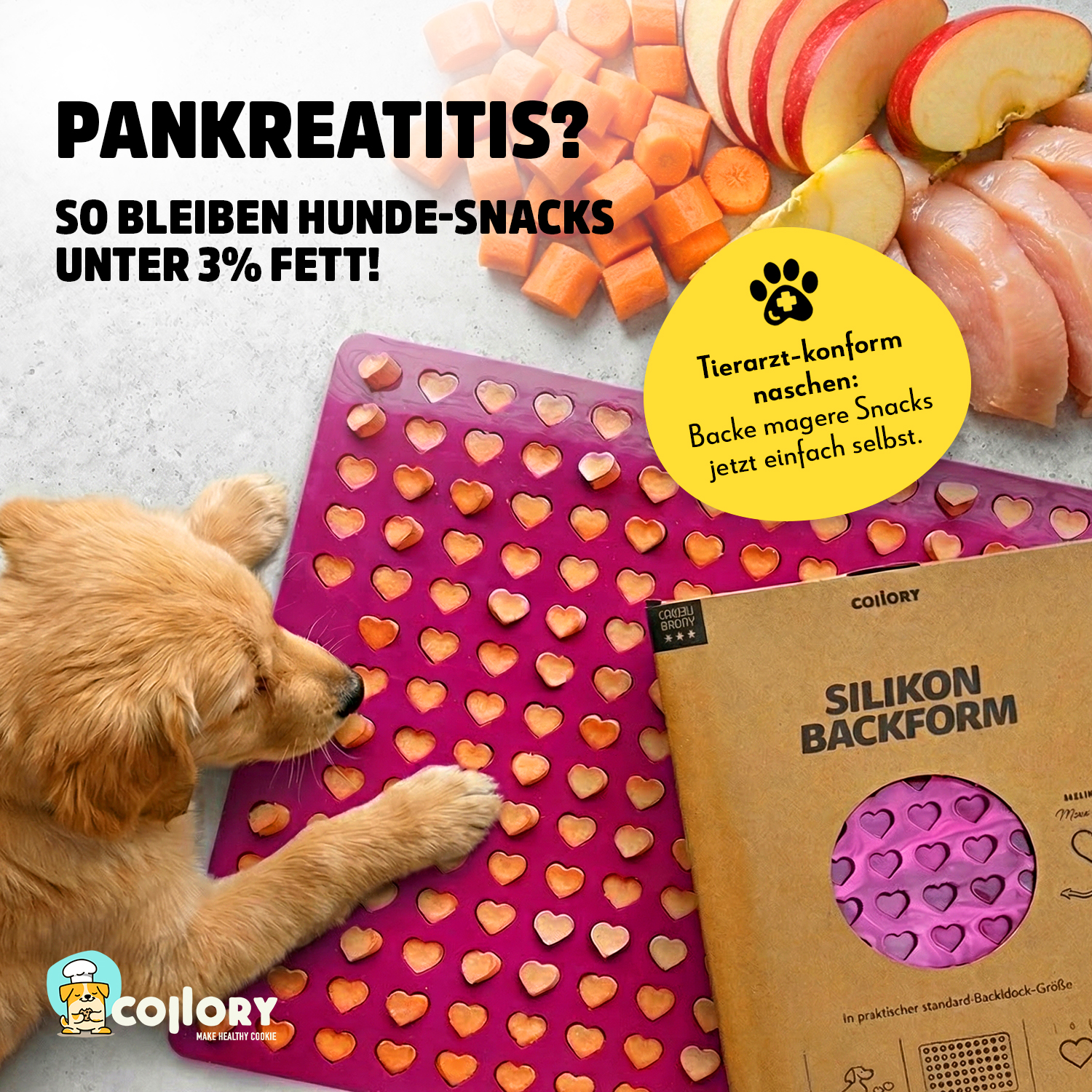 Collory Facebook ad: Pankreatitis? Sicher belohnen!