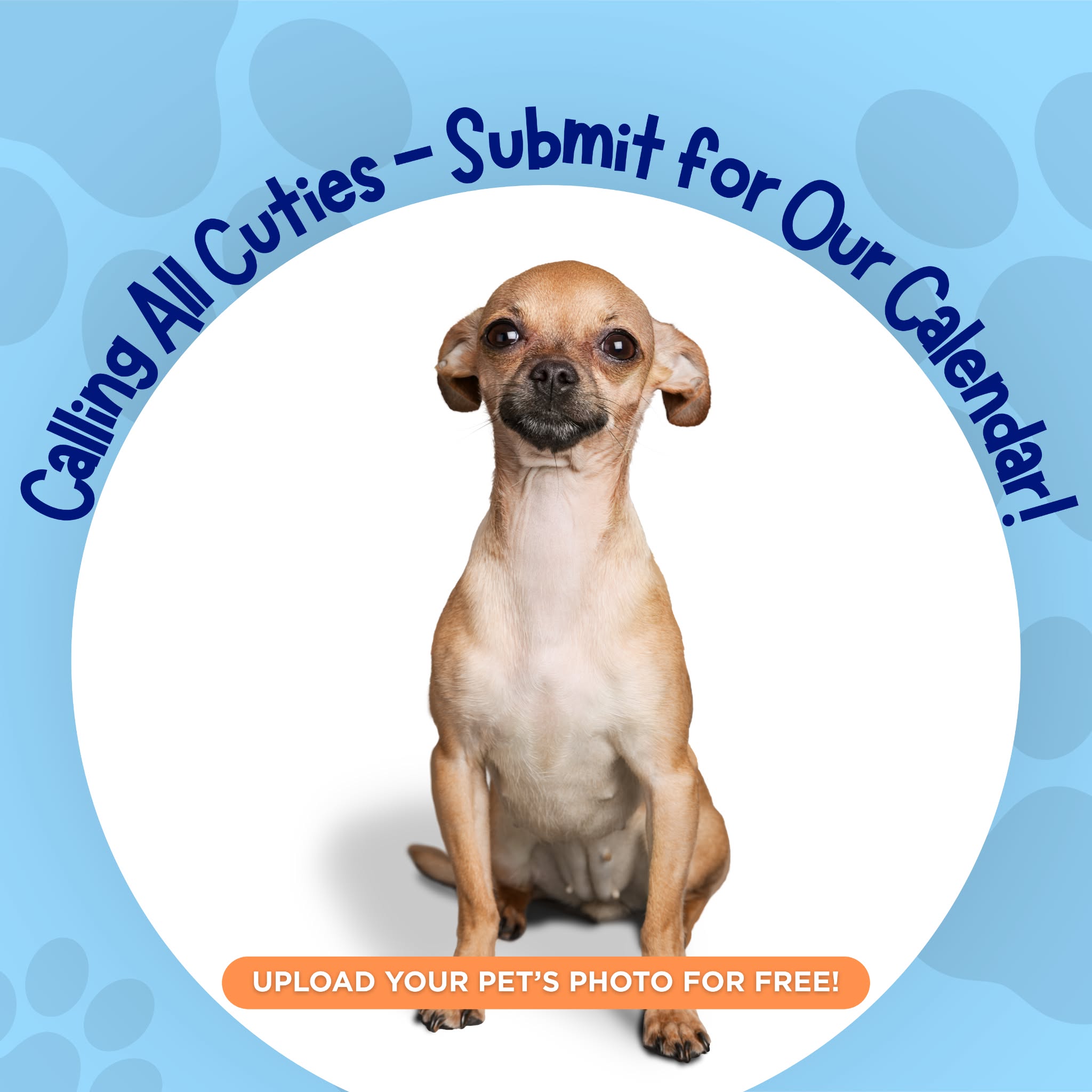 Pawidols Facebook ad: Your Pet Could Be a 2026 Calendar Star!