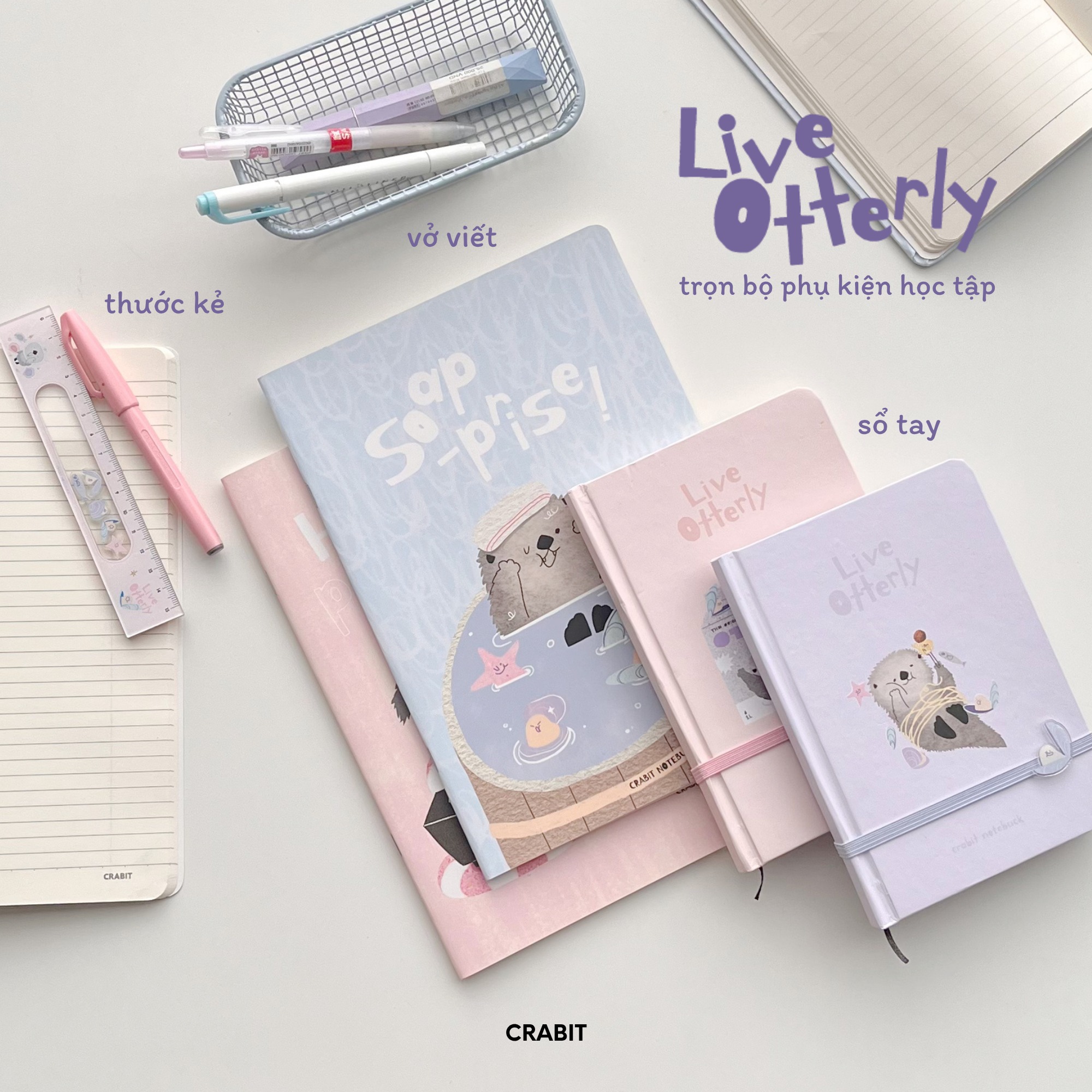 Crabit Study Facebook ad: LIVE OTTERLY - BST KHIẾN BẠN MUỐN HỌC…