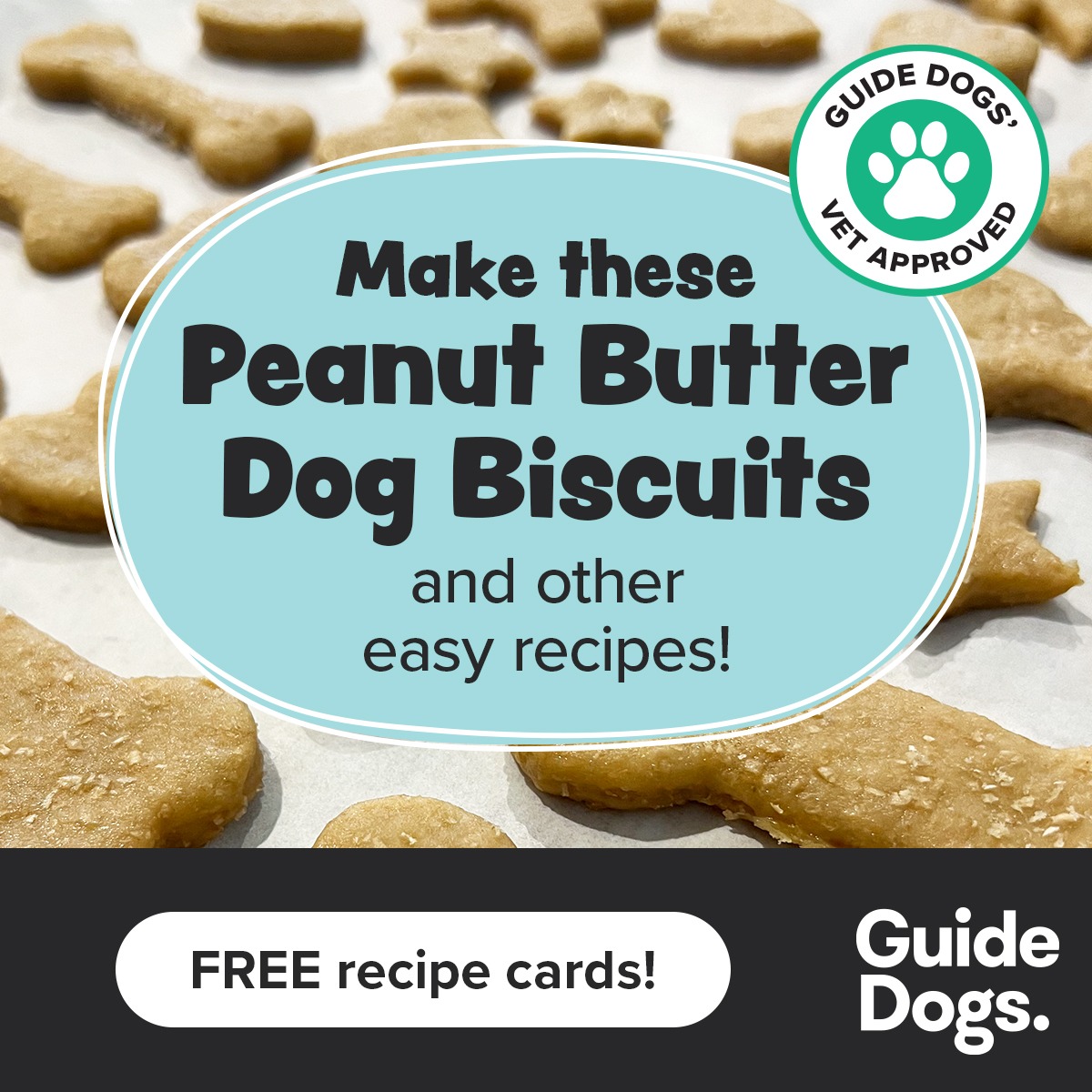 Guide Dogs Australia Facebook ad from Feb 1, 2026