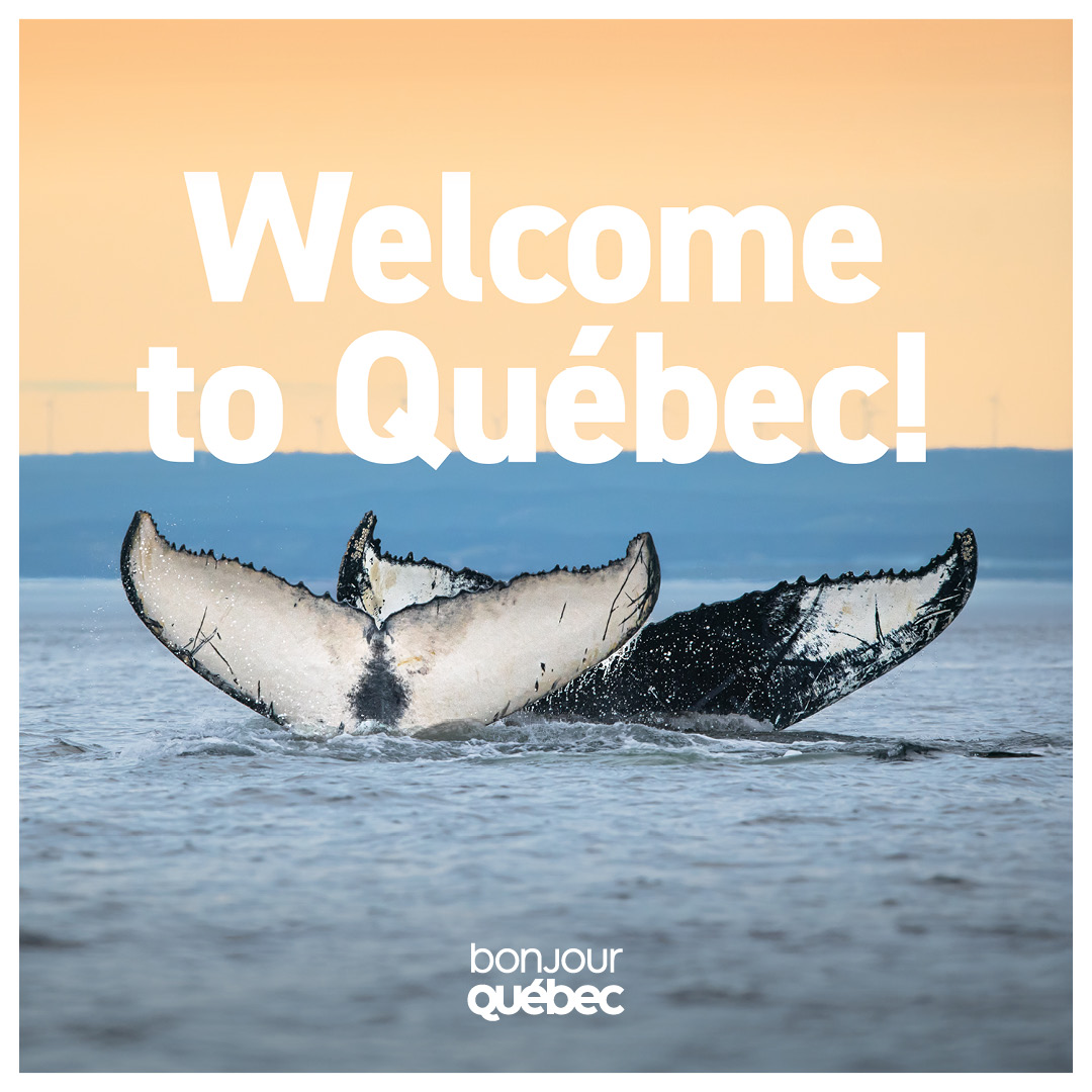 Viens voir les baleines Facebook ad