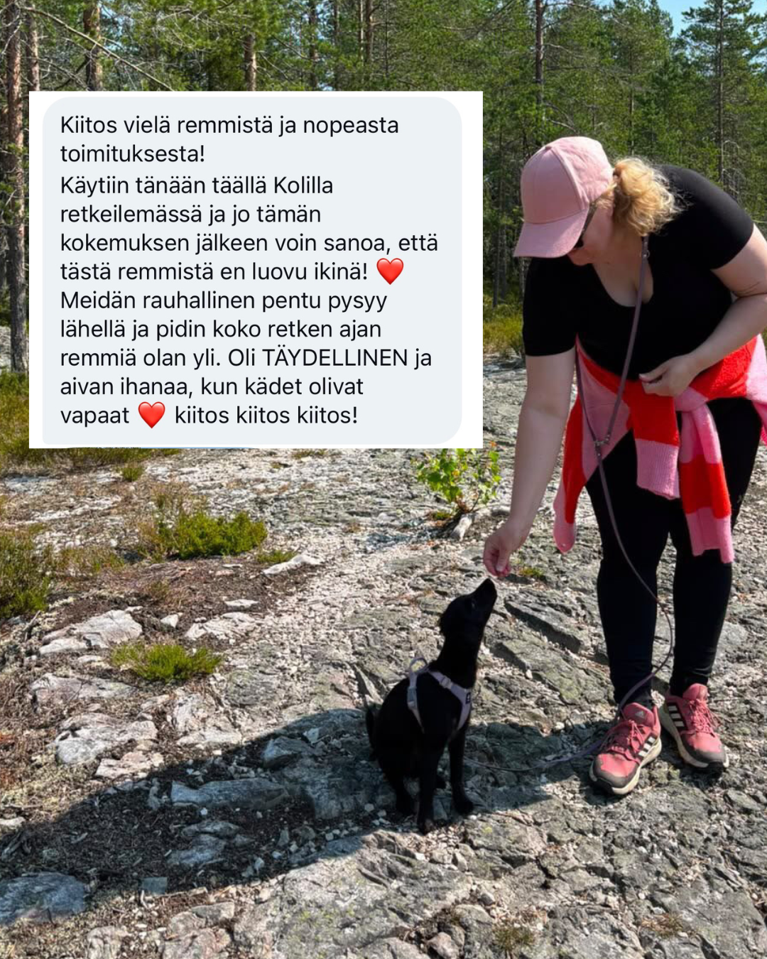 Tyylivoitto Facebook ad