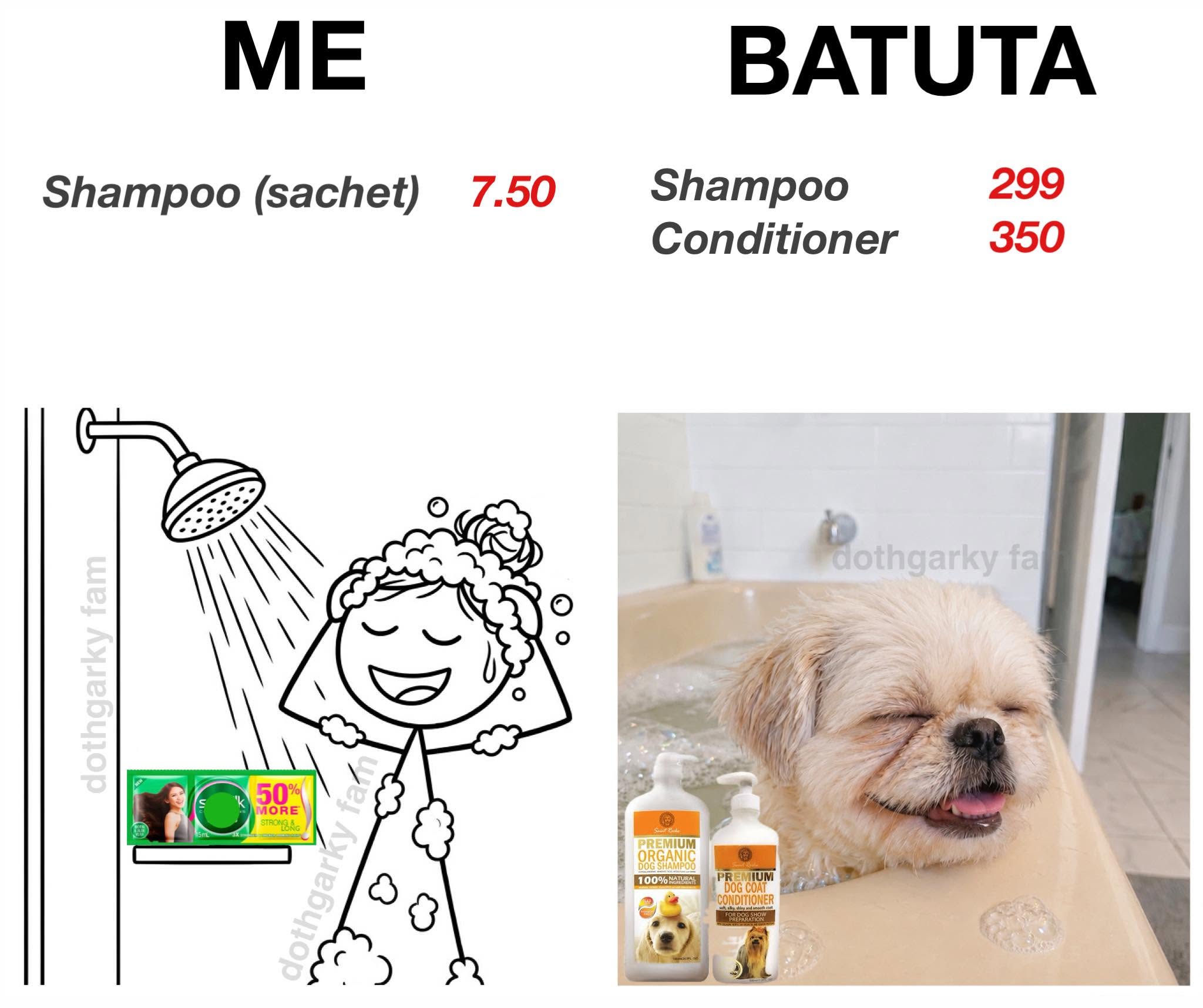Saint Roche Premium Dog Shampoo Facebook ad