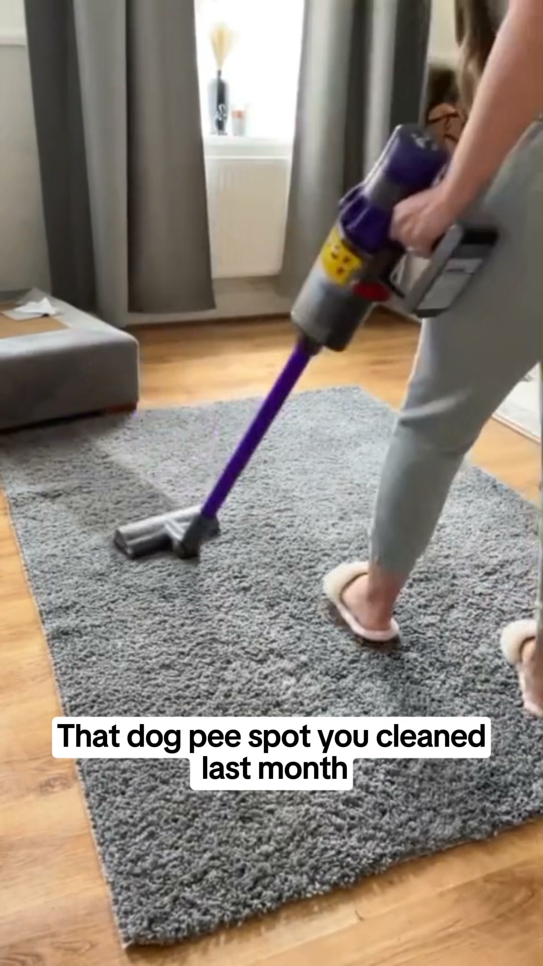 CloBombs - #1 Odor Eliminator in Market Facebook ad: A Home That Smells Like Home, Not Dog