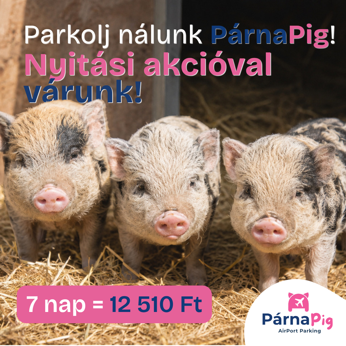 PárnaPig AirPort Parking Facebook ad from Aug 4, 2026