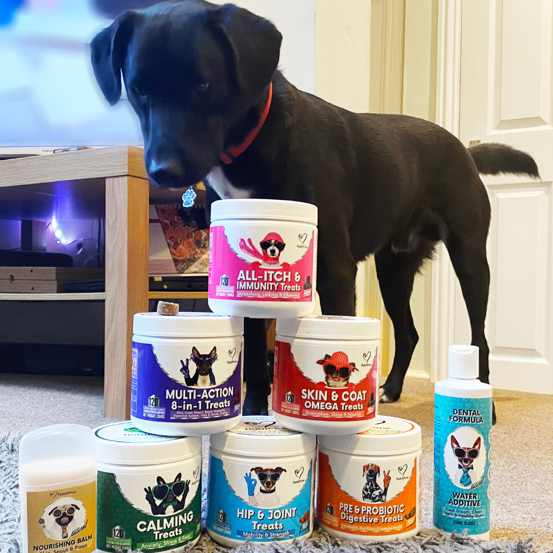 Nutri Paw Facebook ad