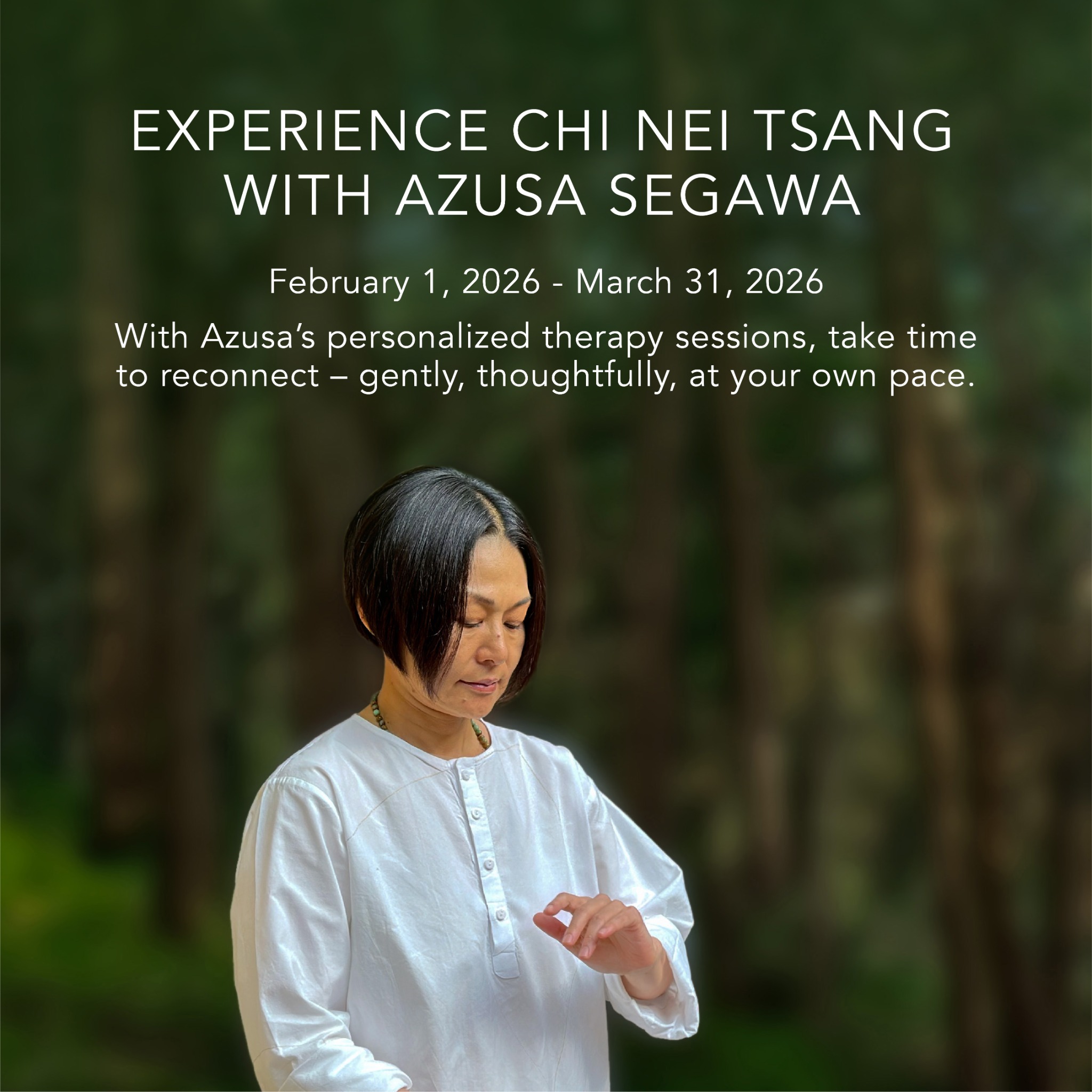 Six Senses Vana Facebook ad