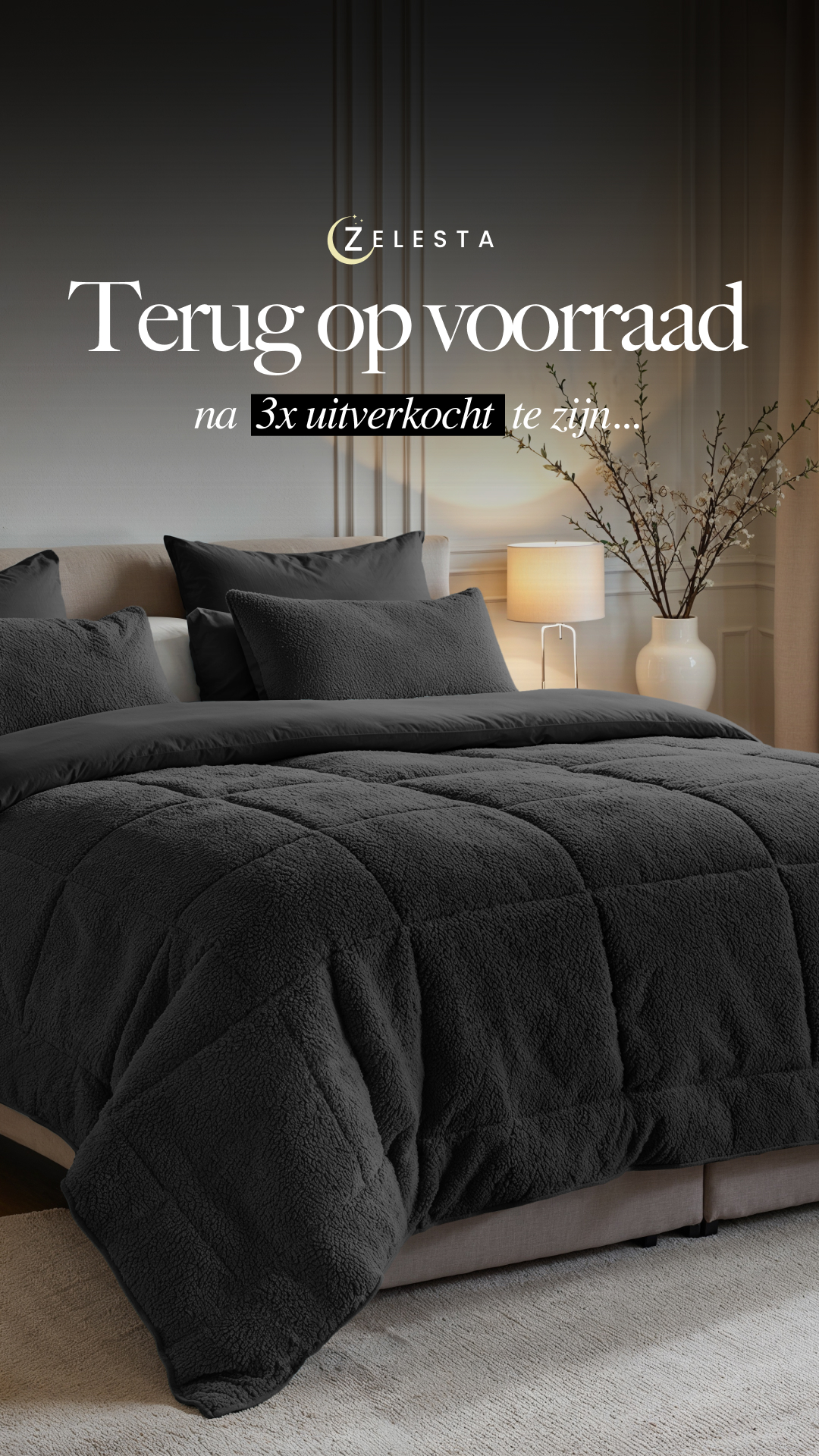Zelesta.nl Facebook ad
