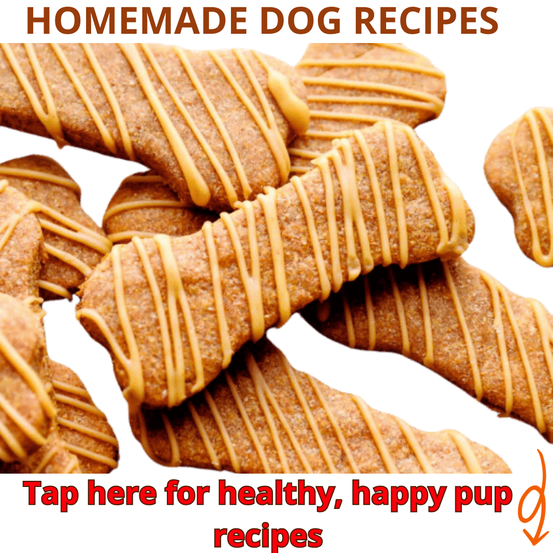 Happy Pup Kitchen Facebook ad: ๐๐๐๐ง๐ฎ๐ญ ๐๐ฎ๐ญ๐ญ๐๐ซ ๐๐ฎ๐ฉ ๐๐ซ๐๐๐ญ๐ฌ