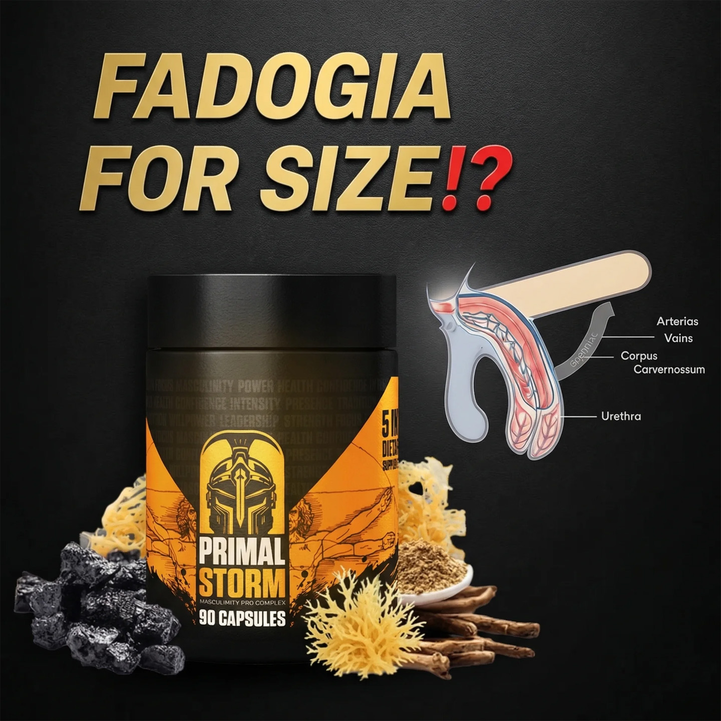 Primal-Storm Facebook ad