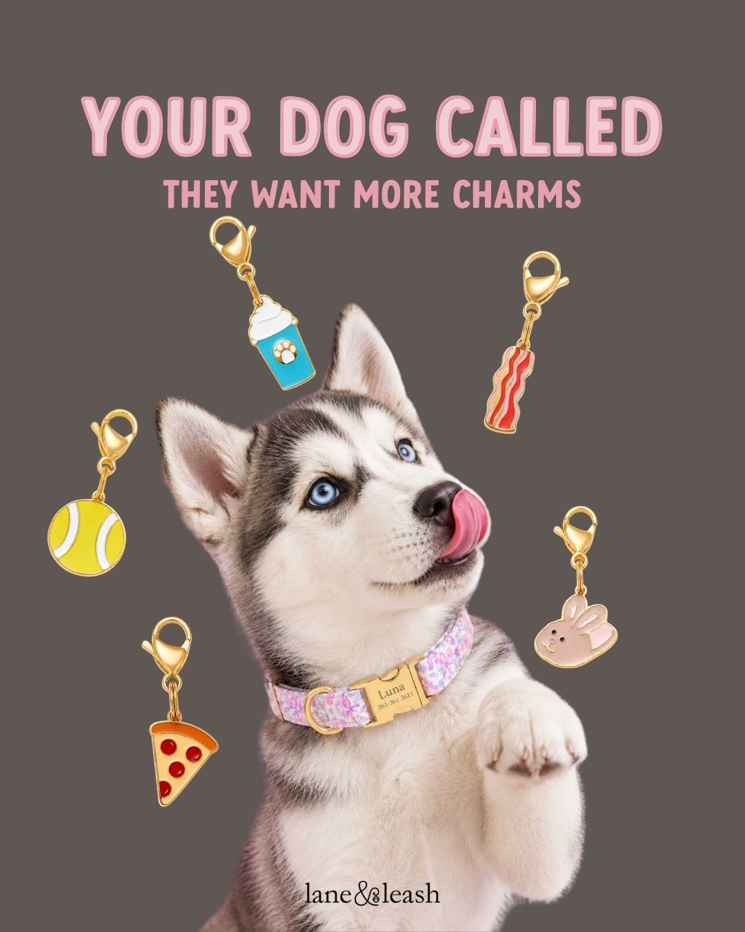 Lane&Leash Facebook ad