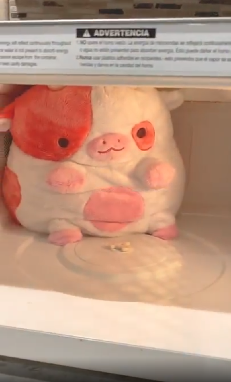 Shopzoki Facebook ad: Heatable Cow with Removable Heart Heating Pad
