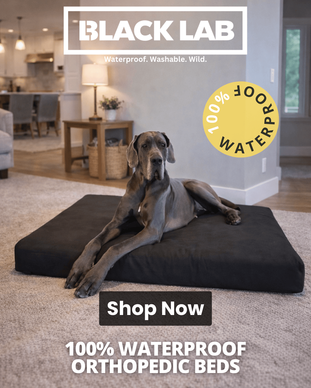 Black Lab Brands Facebook ad