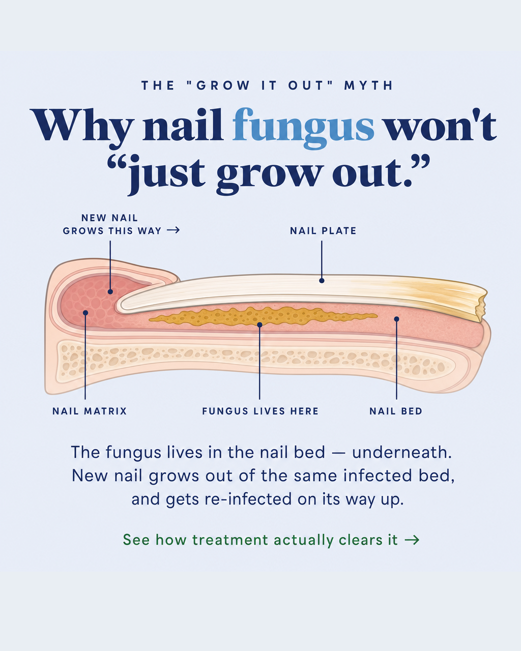 Imperial Feet Cosmetics Facebook ad