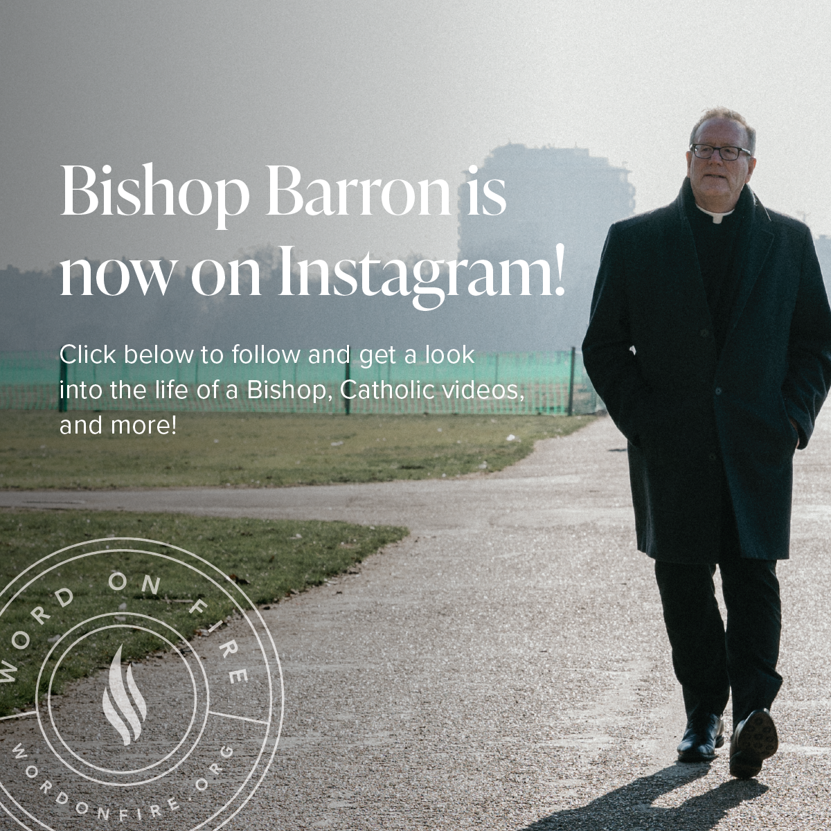 Bishop Robert Barron Facebook ad