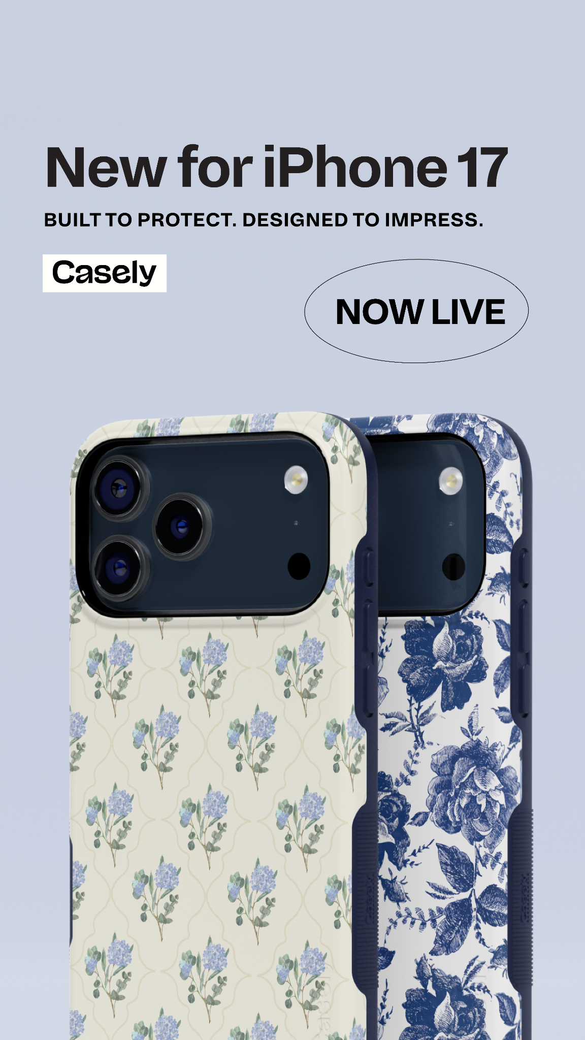 Casely Facebook ad