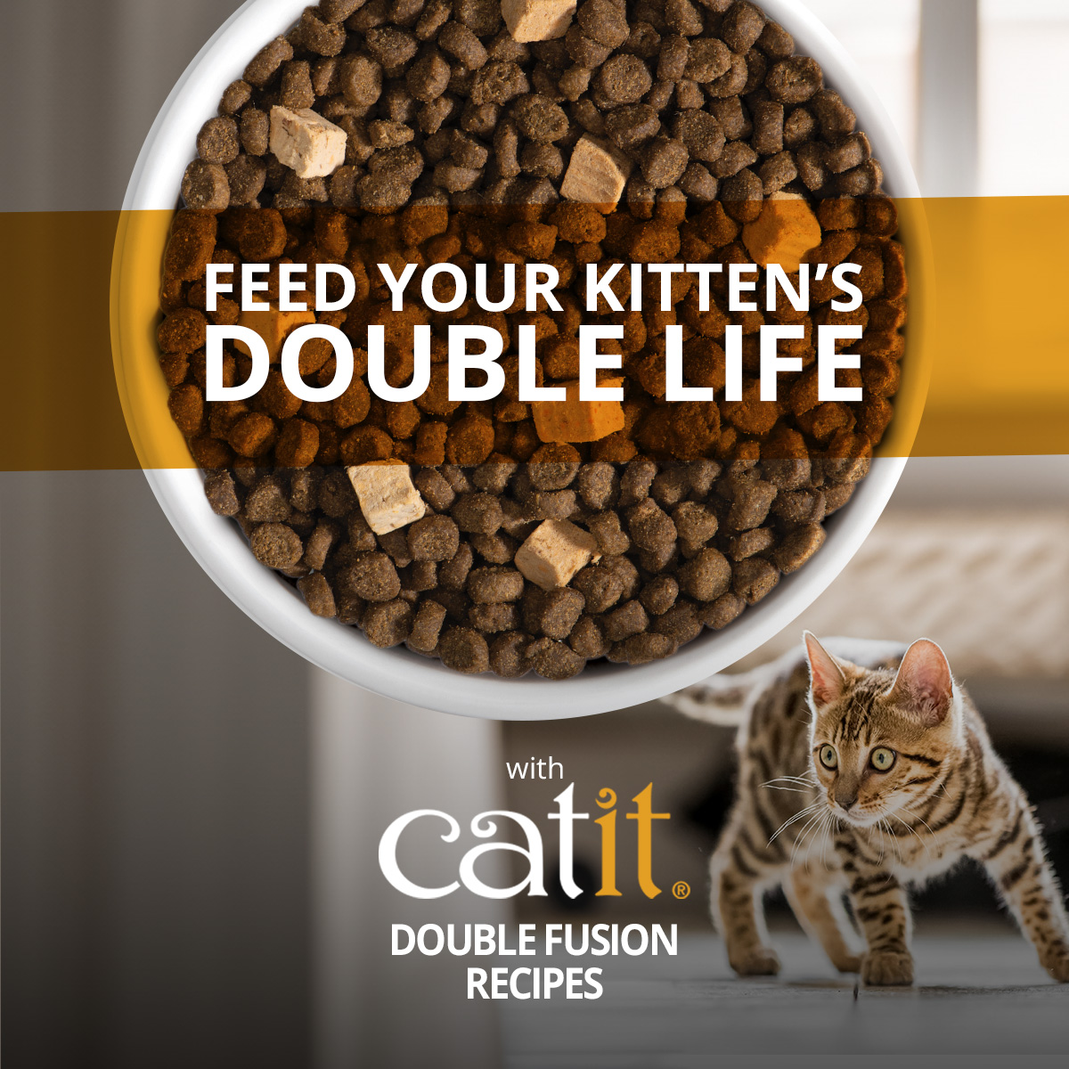 Catit USA Facebook ad: Double Fusion Recipes