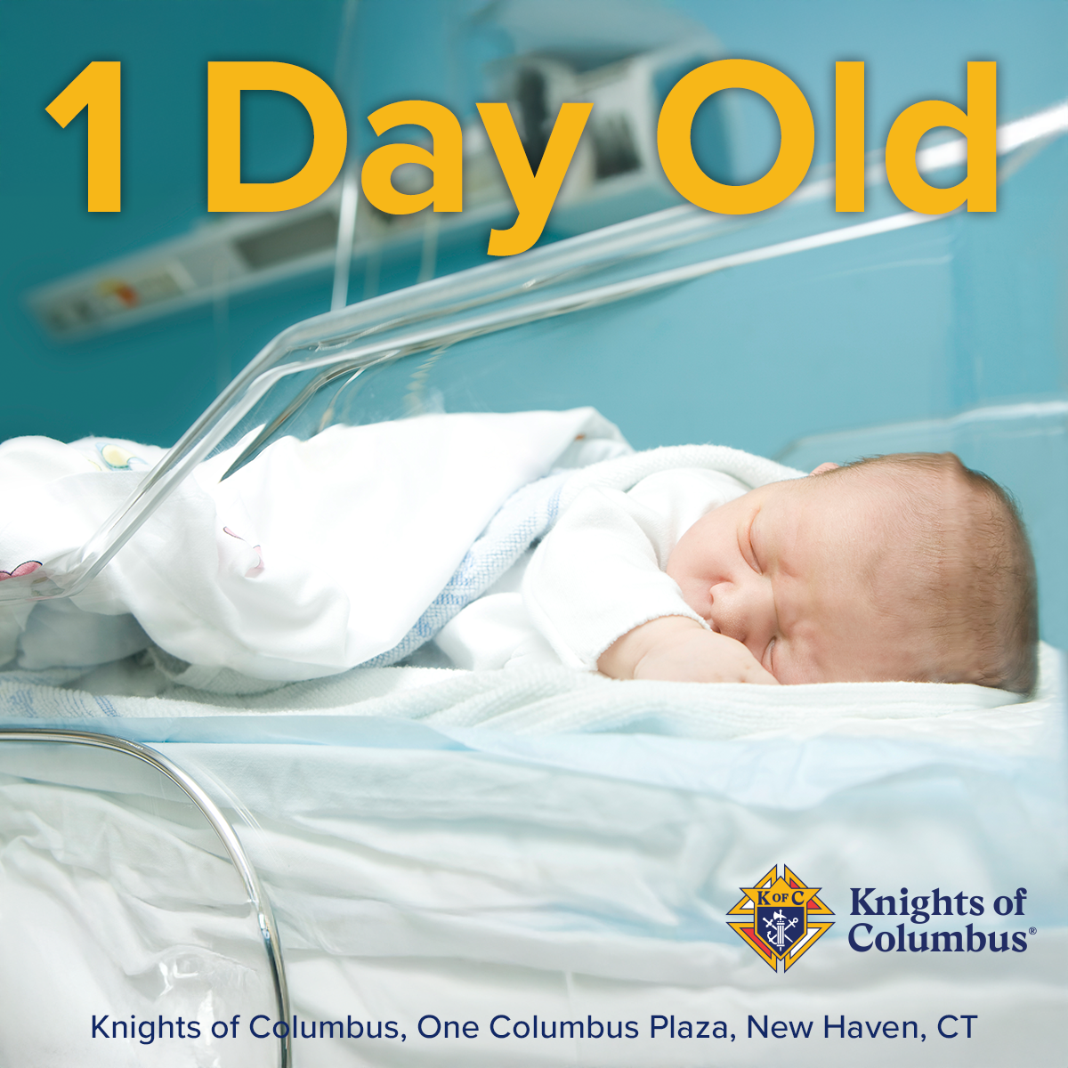 Knights of Columbus Facebook ad: 1 Day Old