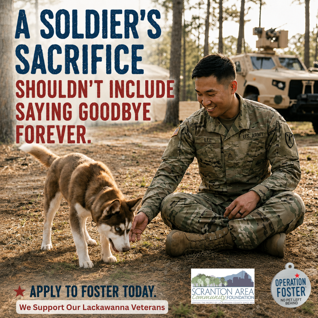 Operation Foster Facebook ad: Become a Foster Today