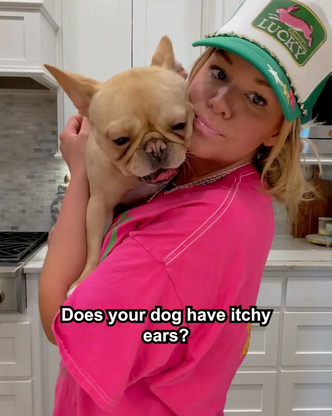 The Downtown Aly Facebook ad: Dog Allergies? This Probiotic Chew Is A Game Changer