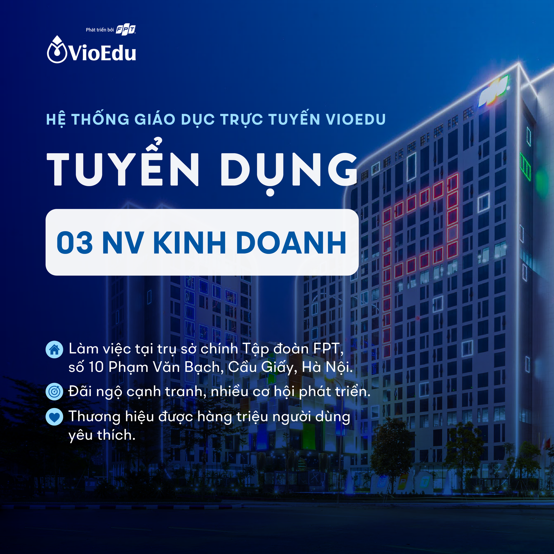 VioEdu Facebook ad