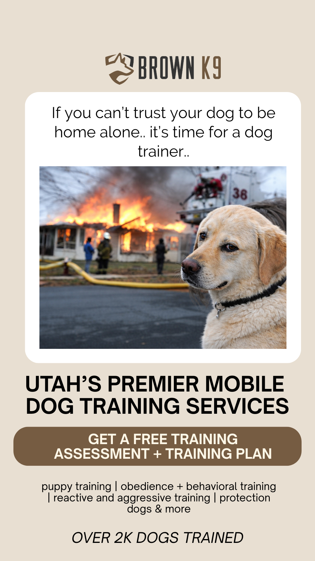 Brown K9 Facebook ad from Mar 6, 2026