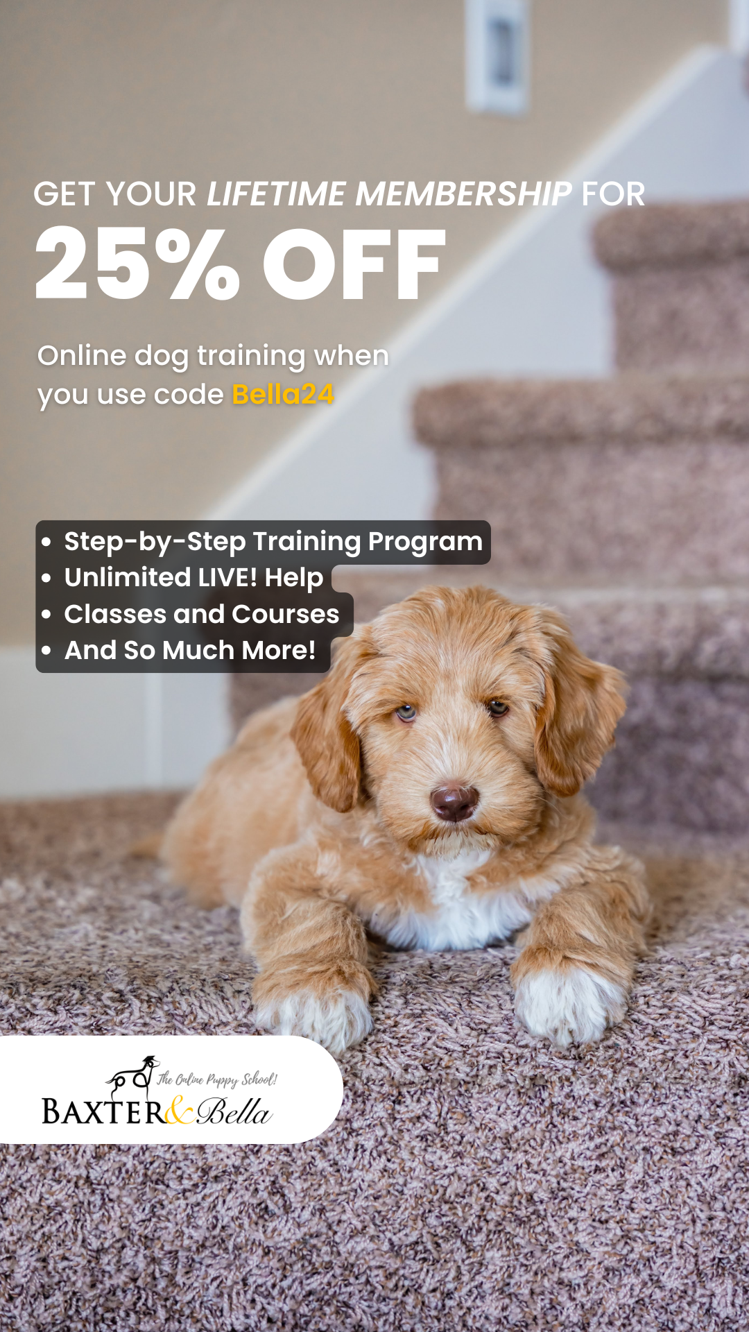 Baxter & Bella - The Online Puppy School Facebook ad