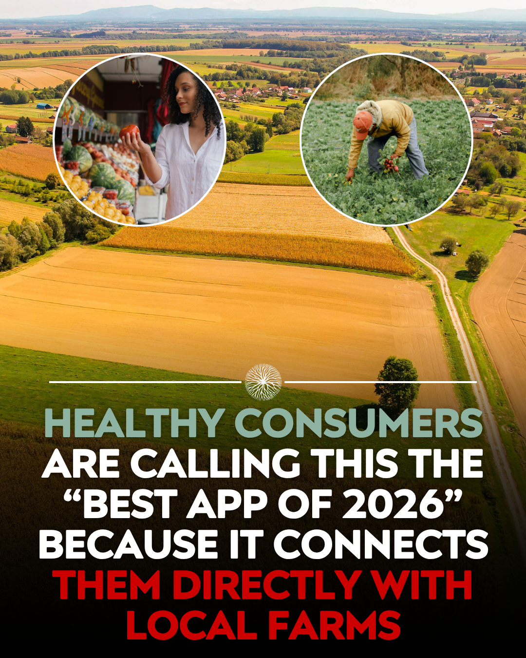Localize - Farmers Market Facebook ad