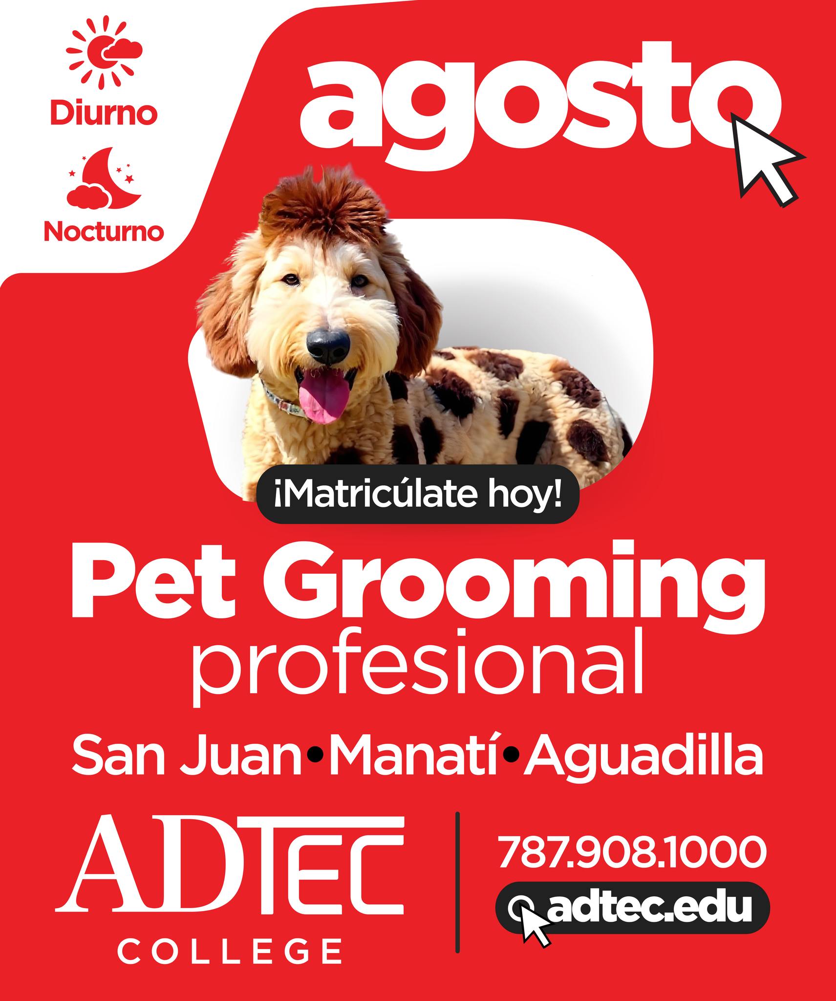 Adtec College Facebook ad